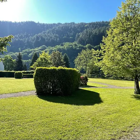 Penthouse Palais Mosel Verbandsgemeinde Traben-Trarbach